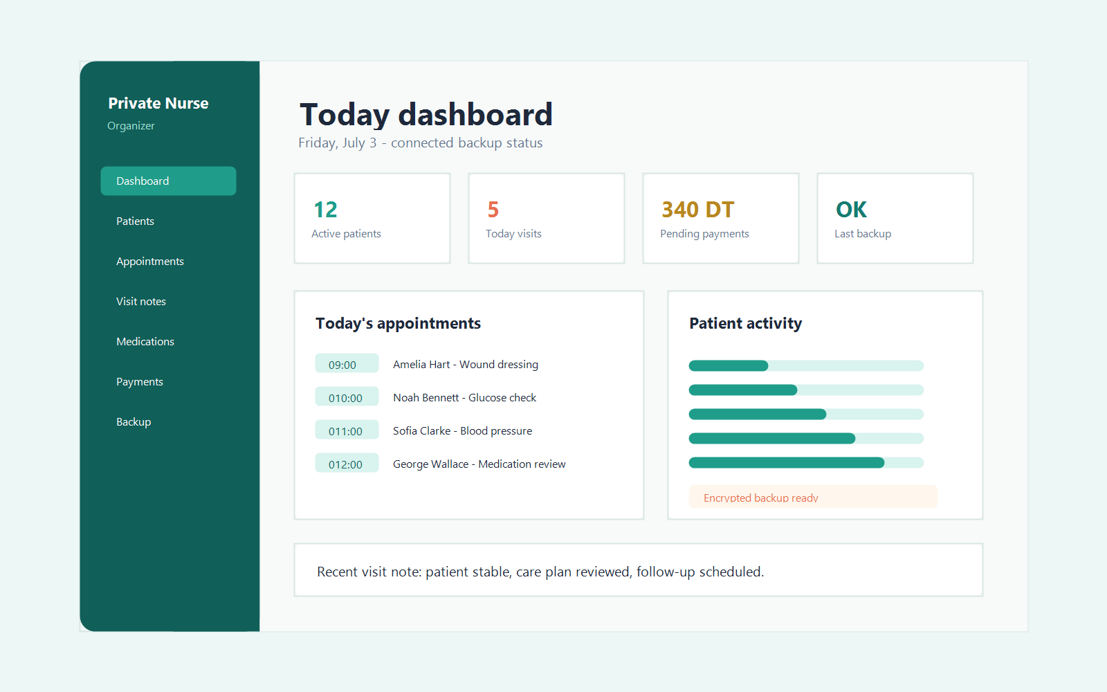 Screenshot-style preview of the Private Nurse Patient Organizer dashboard with patient cards, appointments, payments, and backup status